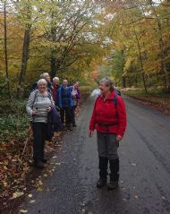 Terrington - November 2019